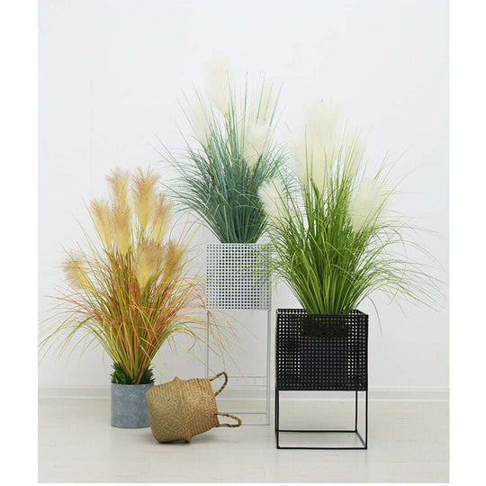 Modern affordable homewares featuring quality potted plants in stylish planters showcasing value furniture and decor.