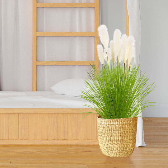 Affordable quality homewares - Wicker basket with lush green plant beside value furniture wooden bed frame.