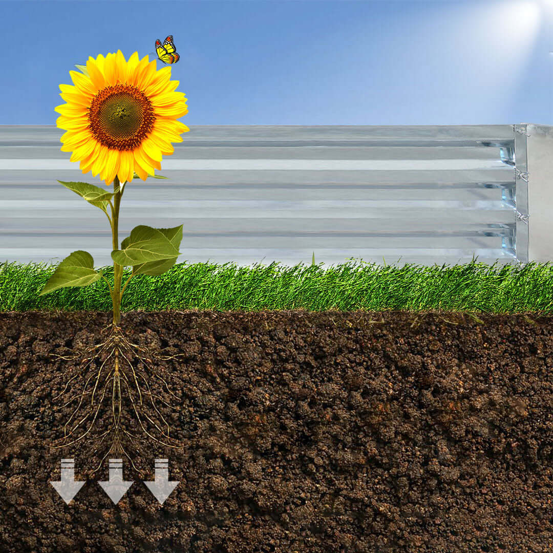 Sunflower with roots growing in soil, illustrating plant growth and featuring a butterfly on the flower.