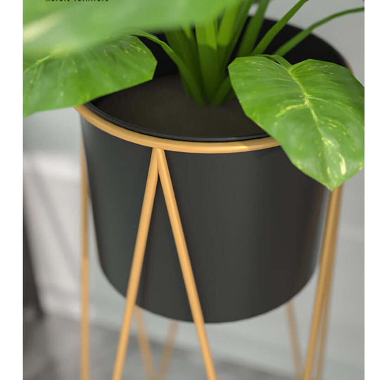 Affordable quality homeware with green plant in stylish black pot on a modern gold stand - value furniture for your home decor.