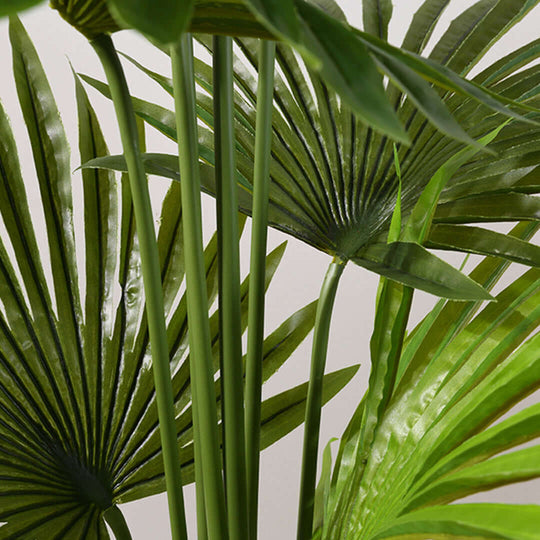 Close-up of tropical green palm leaves, affordable homewares, quality, value furniture.