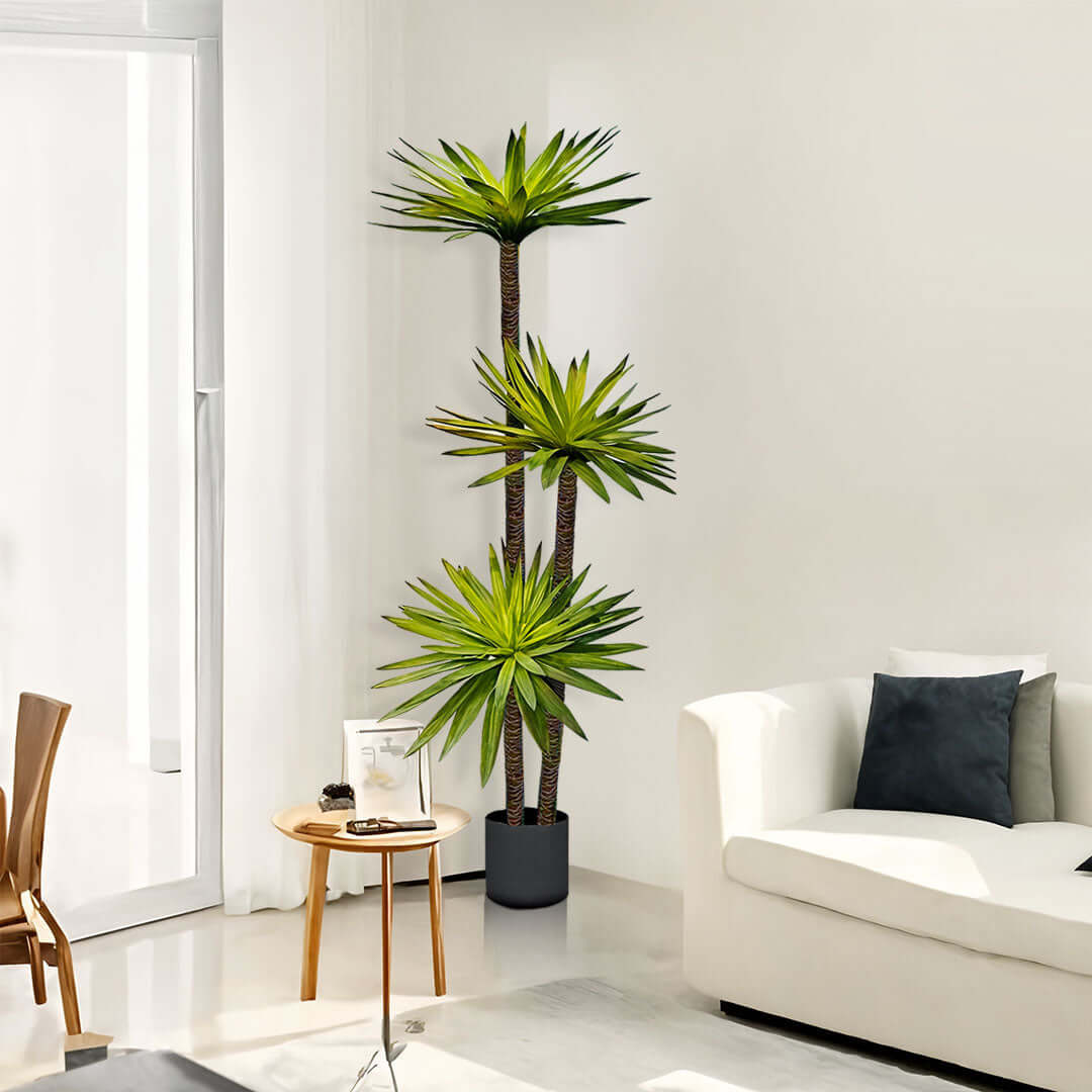 Modern living room with affordable homewares, quality value furniture, and a tall indoor plant for stylish decor.