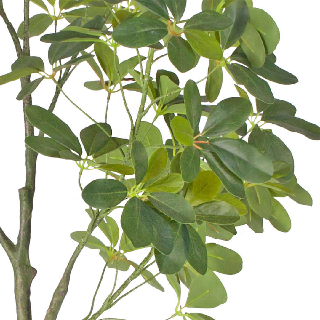 Close-up of artificial green plant leaves adding affordable homewares quality and value to any furniture setting.