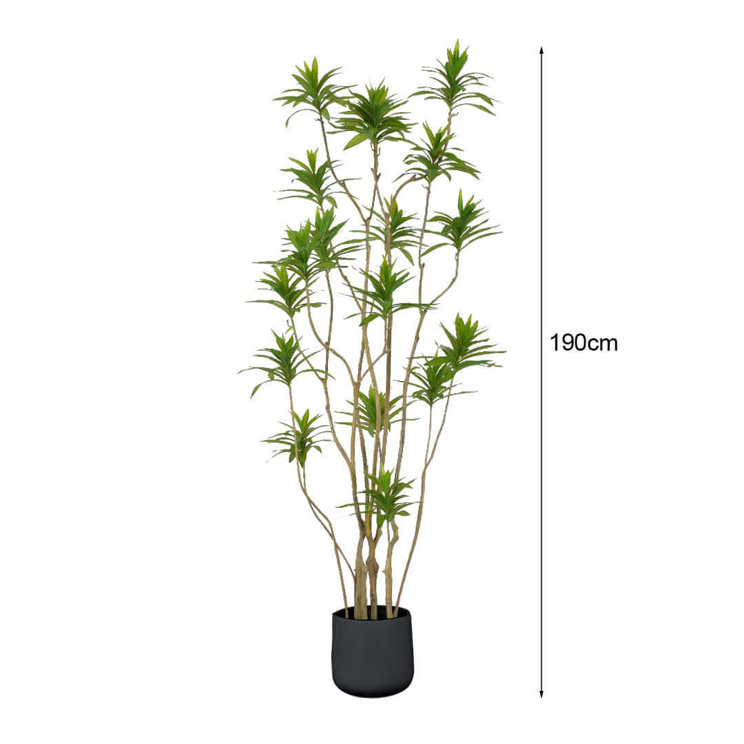 190cm tall potted green plant for affordable homewares, quality décor, and value furniture