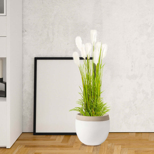 Affordable homewares - stylish potted plant with white flowers for quality value furniture and home decor.