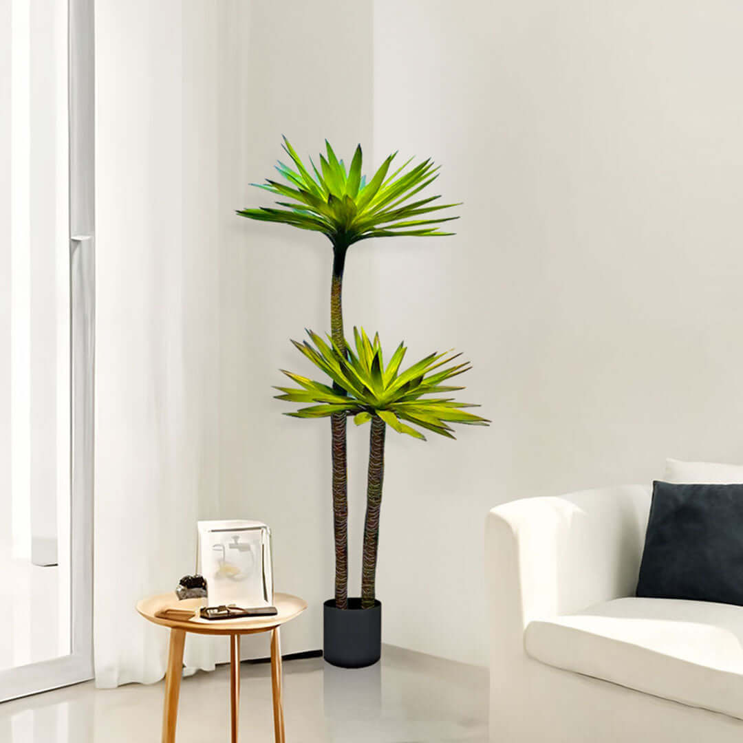 Modern living room with indoor palm plant next to a white sofa and small round table for an affordable and stylish homewares touch.