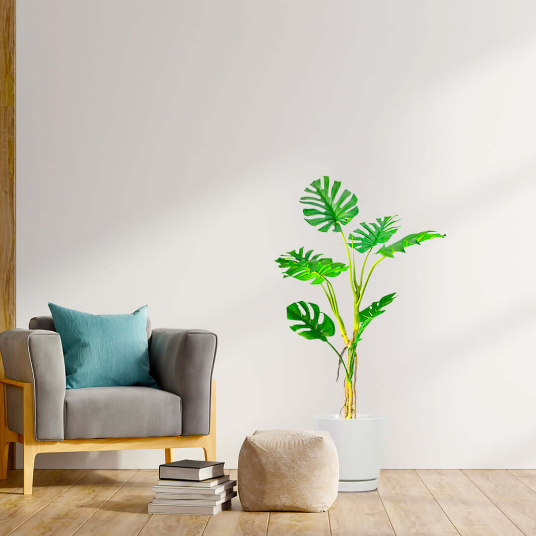 Affordable homewares and quality value furniture featuring a stylish armchair, decorative pillows, potted plant, and books for a cozy living space.