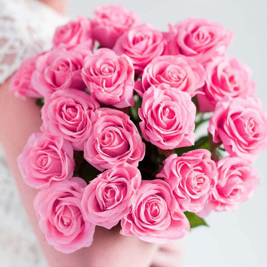 Person holding bouquet of pink roses against a light background