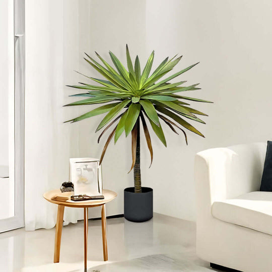 Affordable quality homewares - stylish indoor plant and modern value furniture in cozy living space.