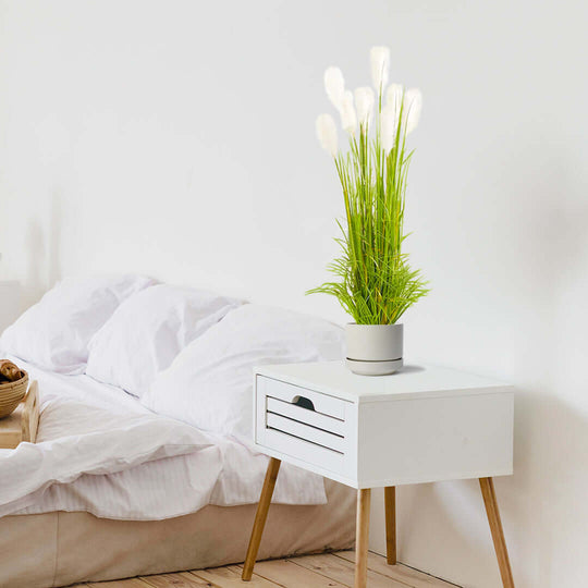 Affordable homewares - white side table with potted plant beside a cozy bed, showcasing quality and value furniture.