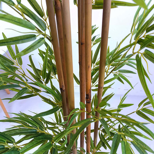 Affordable quality bamboo stalks and green leaves arrangement for homeware decoration and value furniture accents.