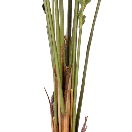 Elegant green and brown plant stems, representing affordable and quality homewares and value furniture.