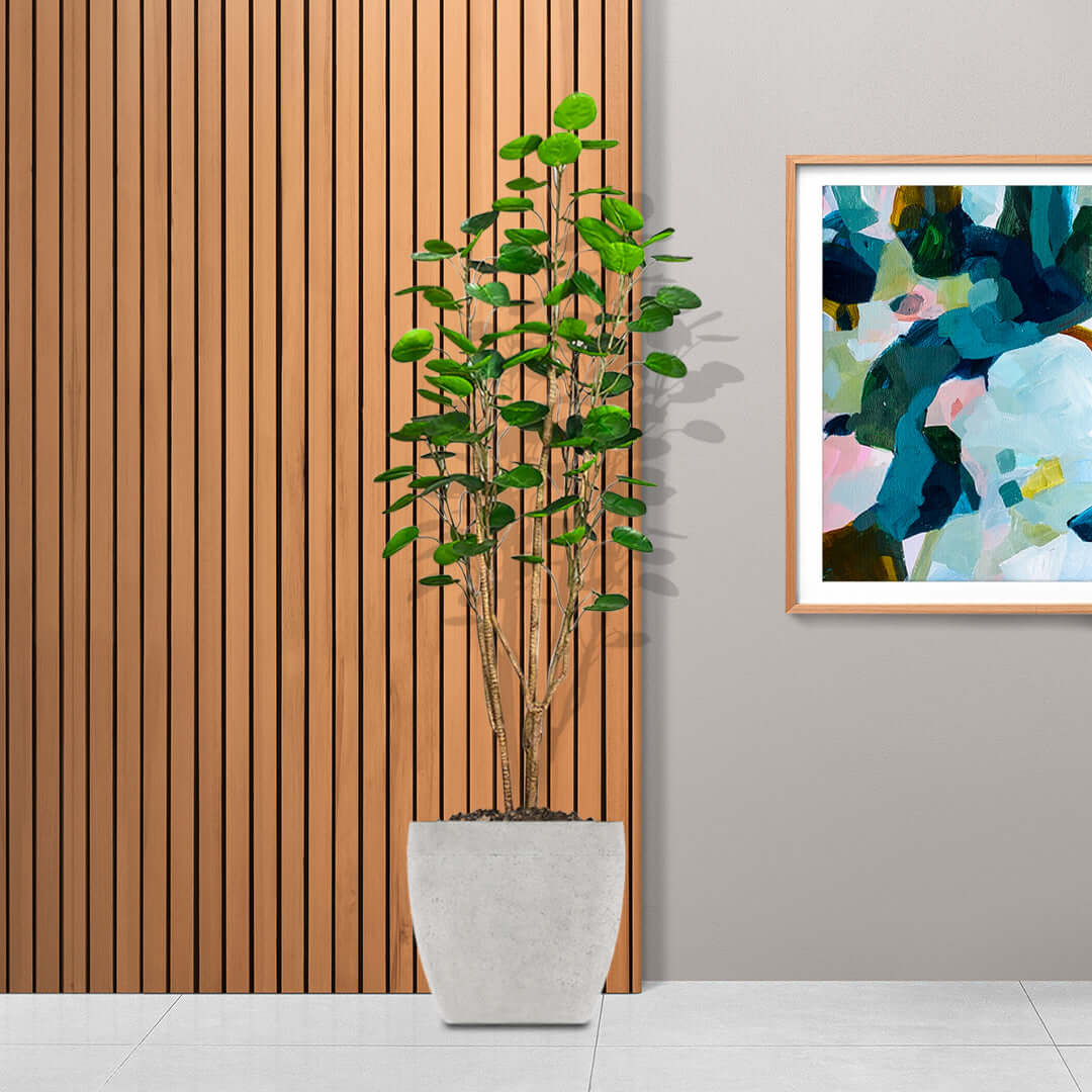 Modern home decor with potted plant and abstract art, showcasing affordable, quality homewares and value furniture.