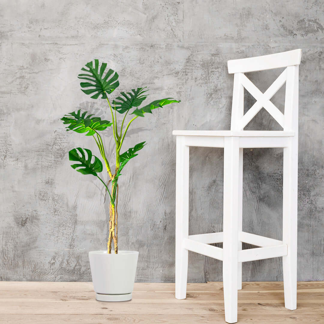 High-quality white chair beside a potted plant, showcasing affordable homewares and value furniture for modern living spaces.