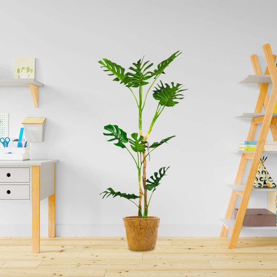 Affordable quality homewares - Indoor plant in a pot, wooden shelves, and value furniture in a modern home office.