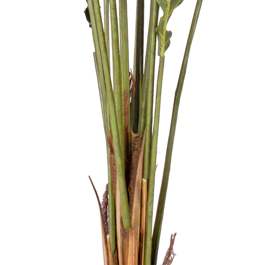 Affordable homewares quality value furniture - Close-up of green and brown artificial plant stems