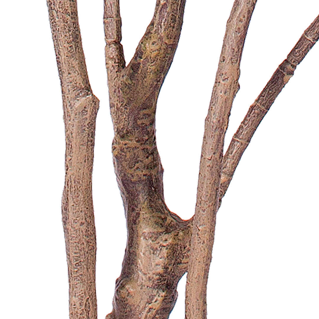 Close-up view of an affordable decorative tree branch showcasing quality detailing in homewares and value furniture accessories.