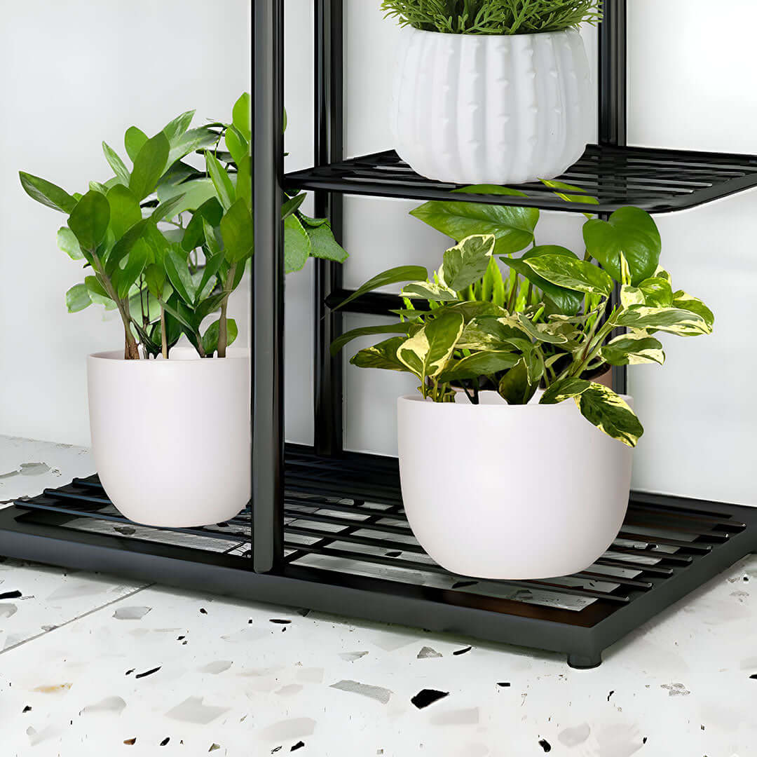 Affordable quality homewares with lush green plants in white pots on black metal shelves displaying value furniture accents.