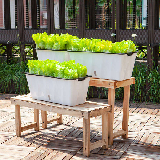 Affordable homewares - quality value furniture featuring wooden benches with planter boxes on a patio garden.