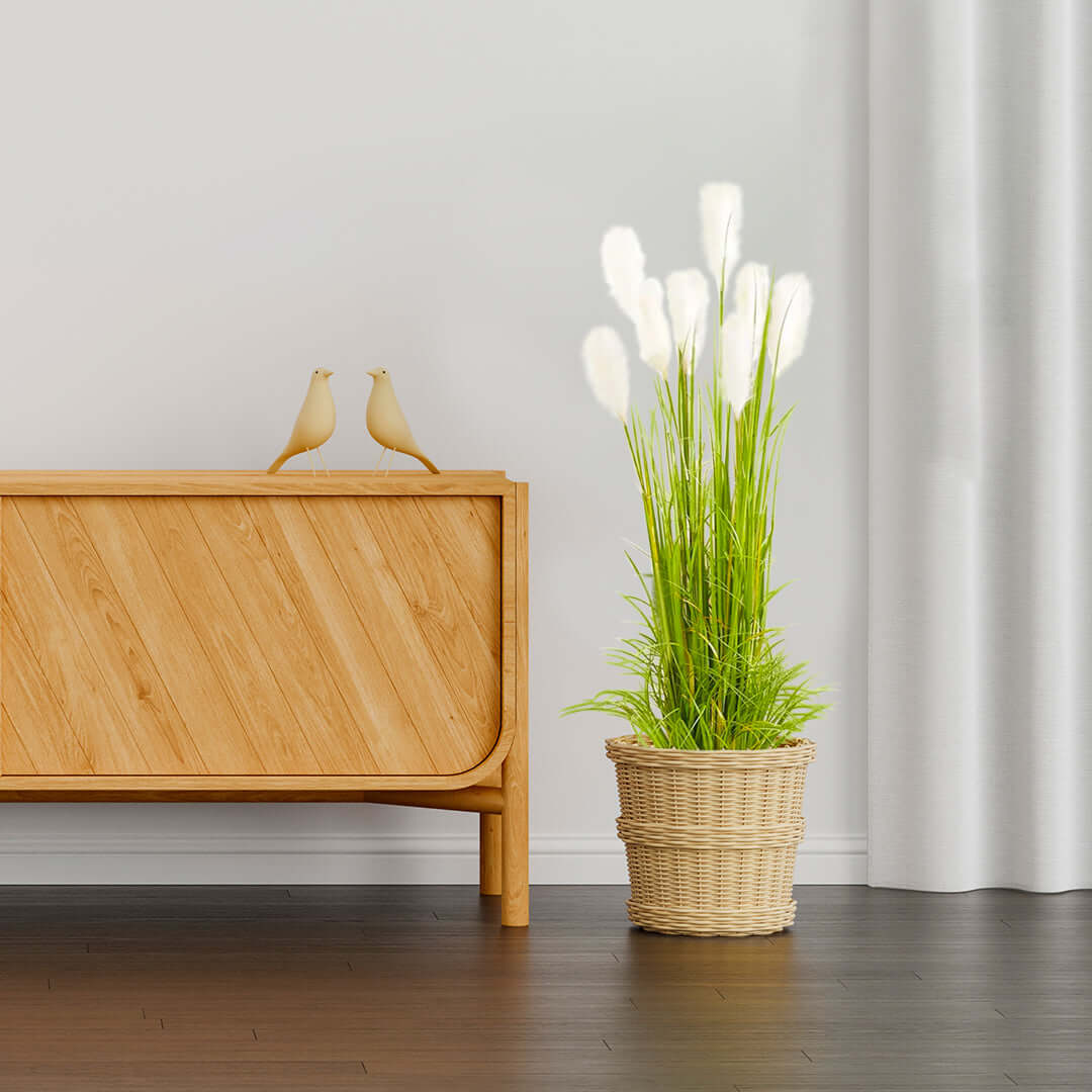 Affordable homewares - quality value furniture with a stylish wooden side table and potted plant in a modern interior setting.