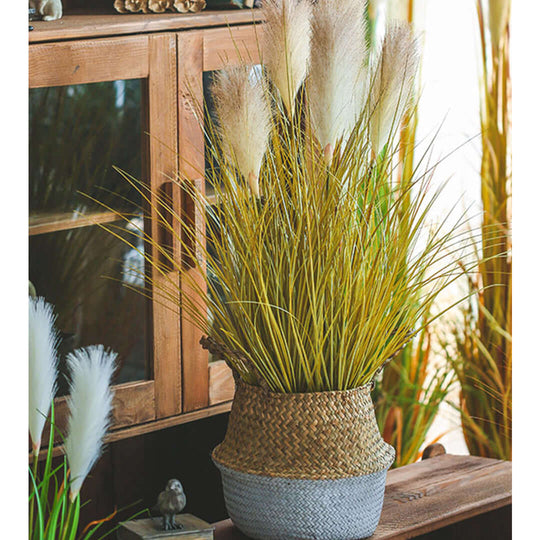 Stylish affordable homewares showcasing quality value furniture with decorative plant in a woven basket planter by a wooden cabinet.