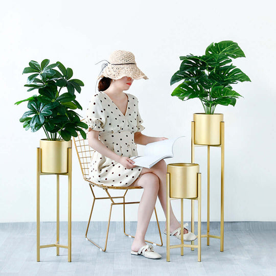 Woman reading book seated on gold wire chair with potted plants, showcasing affordable, quality homewares and value furniture.