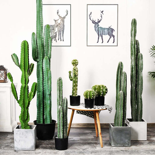 Indoor decor with various sizes of potted cacti beside a wooden table and wall art of deer, showcasing affordable and quality homewares.