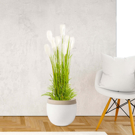 Affordable quality homewares - stylish green plant in white pot beside modern chair in minimalist room showcasing value furniture.