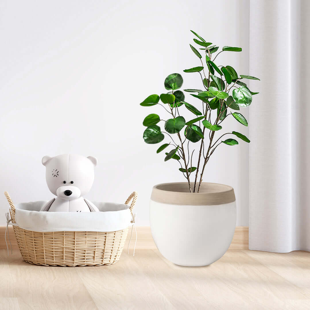 Affordable quality homewares - plush teddy in wicker basket and potted plant beside white curtain, value furniture.