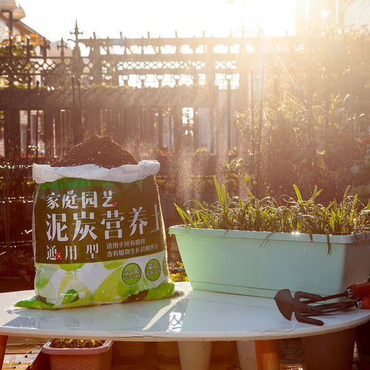 Gardening supplies on a table in sunlight with a bag of soil and a planter box with growing plants.