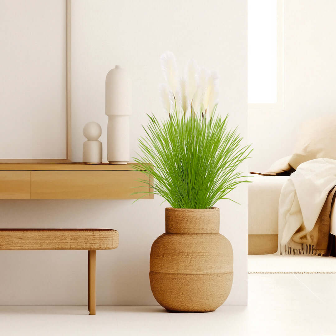 Affordable quality homewares - stylish value furniture and modern decor with green plant in a natural vase.