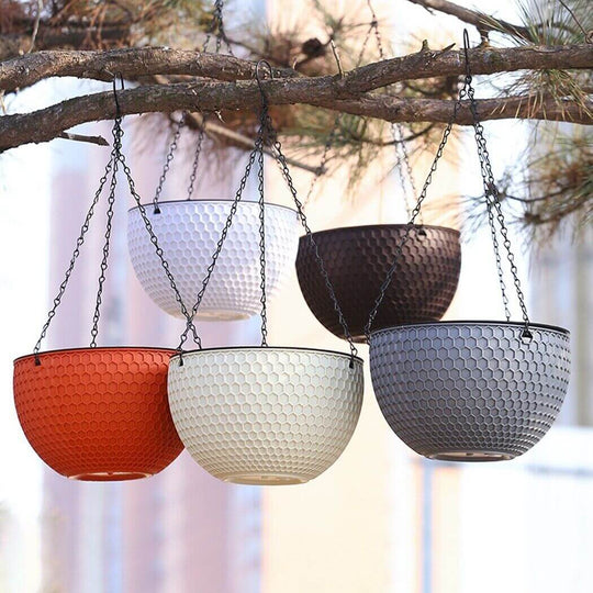 Affordable quality hanging planters in various colors on a tree branch for stylish and value homewares.