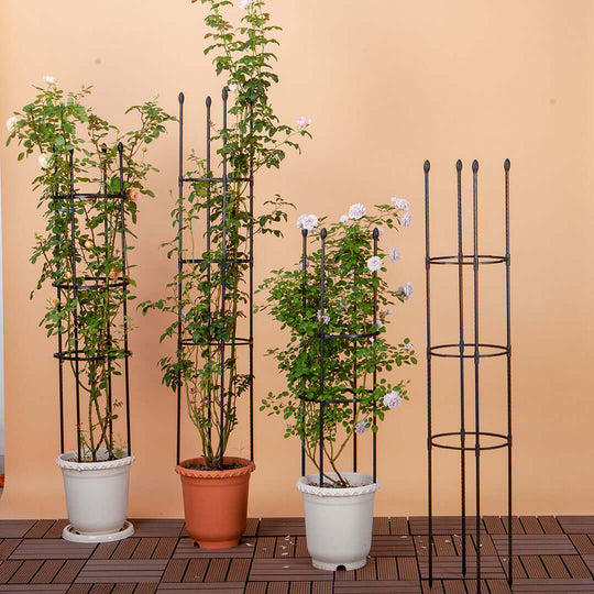 Affordable quality homewares with value furniture: potted plants on metal trellises on wooden deck with peach background