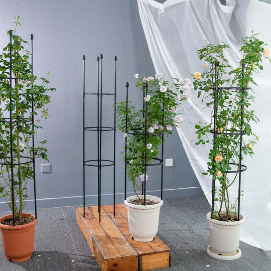 Potted plants on wooden pallets supported by affordable quality trellis stands for home and garden decor