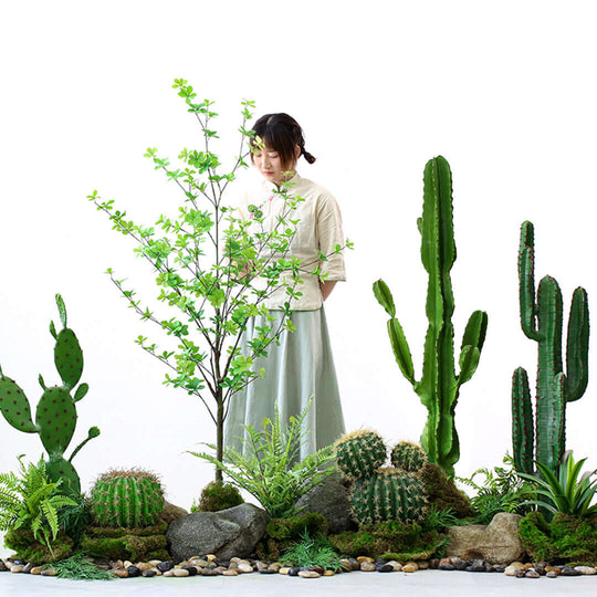 Woman standing among various green plants including cacti, small trees, and ferns, creating a lush indoor garden setting.