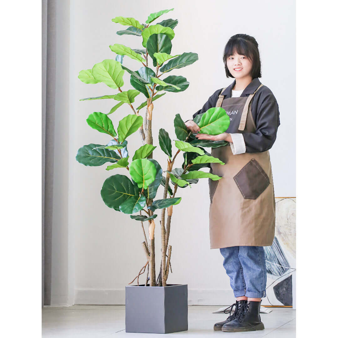 Woman arranging leaves of an indoor potted plant while wearing an apron, showcasing affordable quality homewares and value furniture for a stylish home.