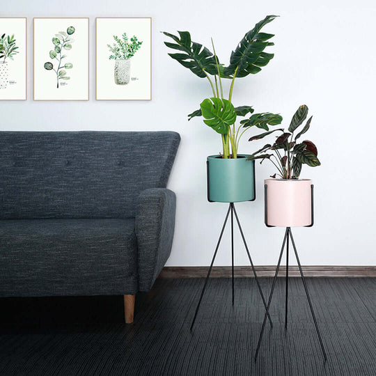 Affordable quality homewares and value furniture featuring modern planters with lush green plants beside a stylish gray sofa.