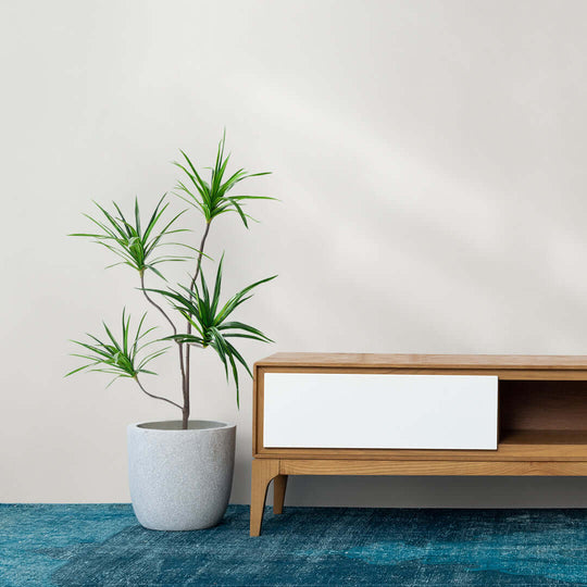 Modern wooden furniture with white drawer and potted plant, showcasing affordable homewares and quality value furniture.