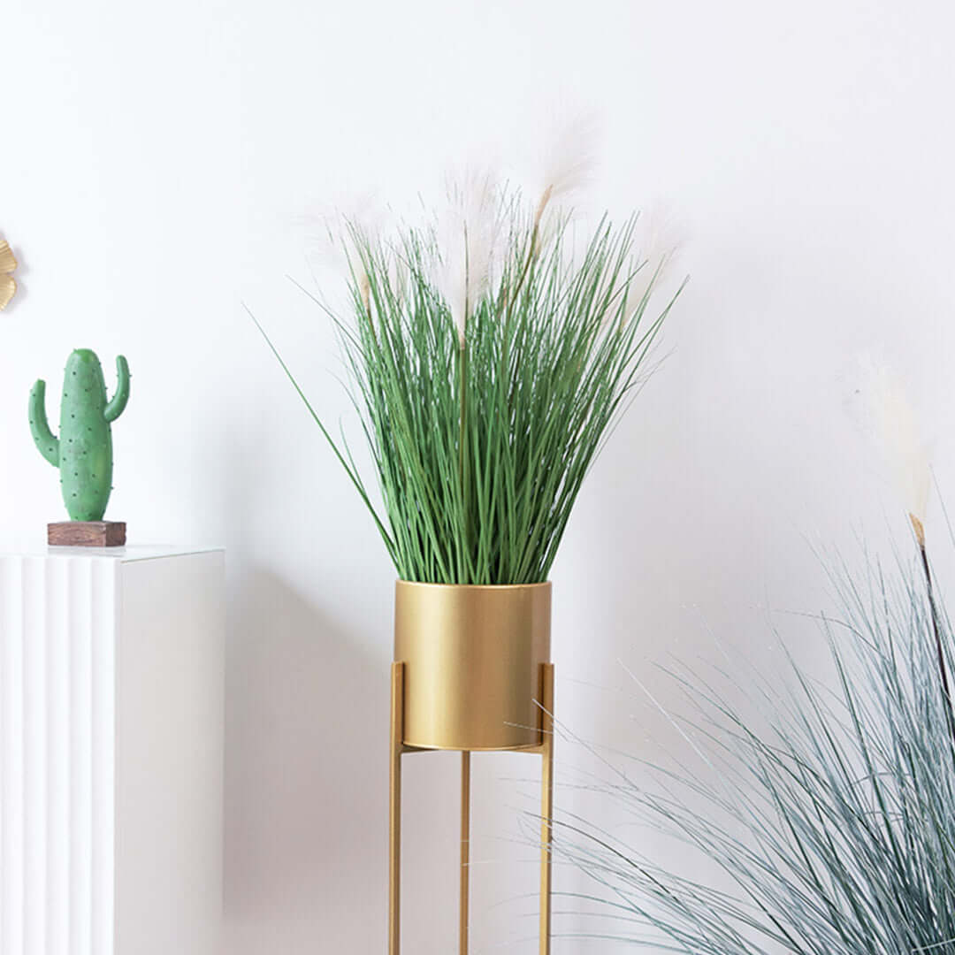 Modern home decor with affordable quality homewares including a golden plant stand and green cactus for added value furniture.