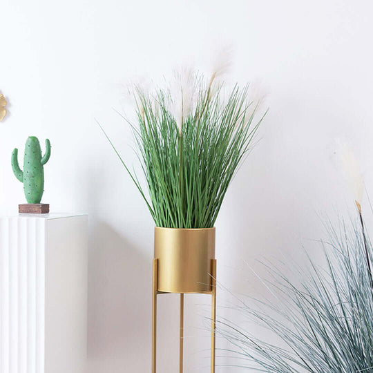 Modern home decor with affordable quality homewares including a golden plant stand and green cactus for added value furniture.