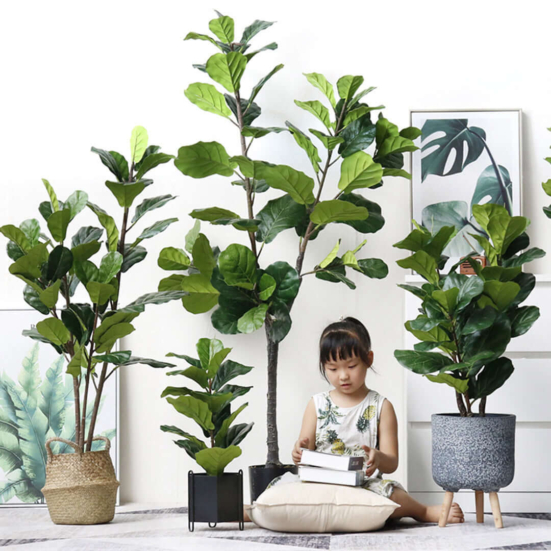 Child sitting on cushion surrounded by affordable quality homewares, including green indoor plants in stylish pots, representing value furniture.