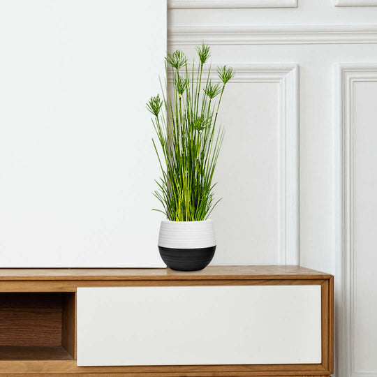 Affordable quality homewares - modern vase with green plants on wooden cabinet. Value furniture for stylish home decor.