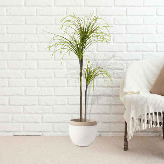 Stylish and affordable quality homeware - potted indoor plant with white pot and cozy chair against a brick wall backdrop