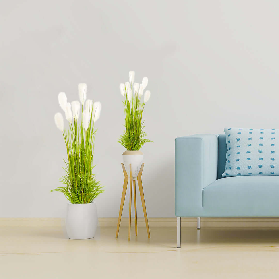 Modern living room with affordable quality homewares, including decorative plants in white pots and a light blue sofa.