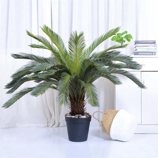 Affordable quality homewares - stylish indoor palm plant in black pot next to woven basket and white modern furniture for value home decor