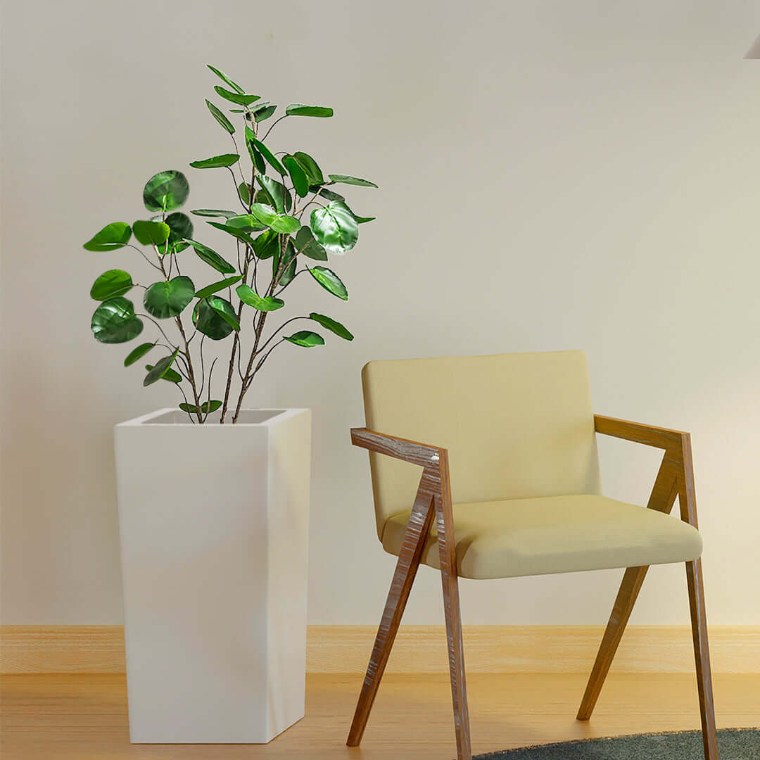 Affordable quality homewares and value furniture - modern beige chair and potted plant in stylish interior setting.