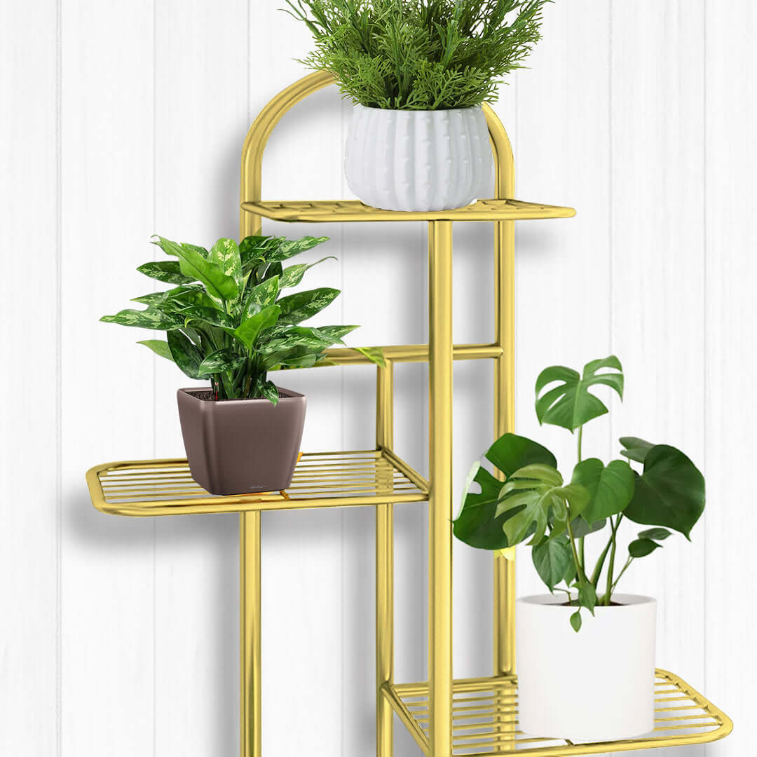 Modern golden plant stand displaying three potted plants, enhancing affordable homewares with quality and value furniture.