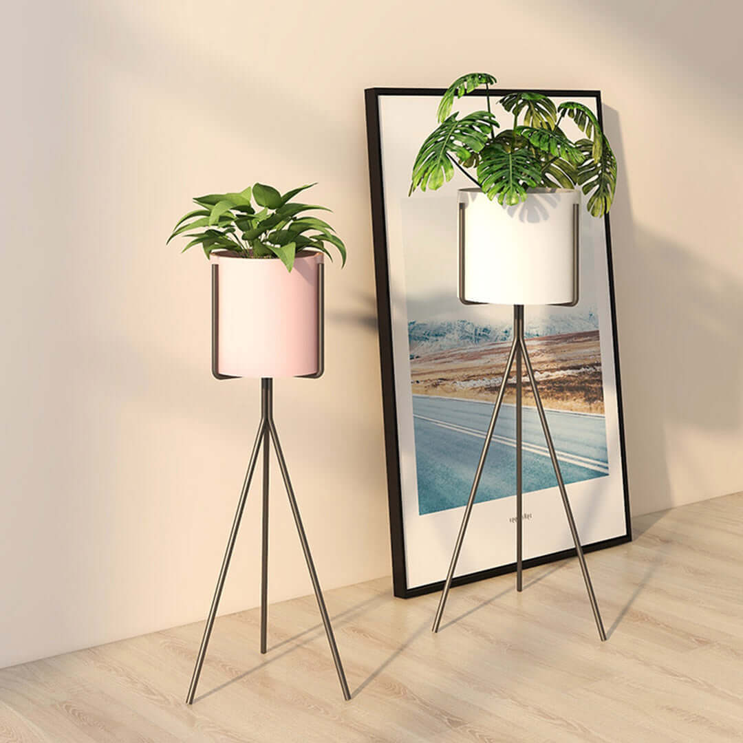 Stylish homewares including modern indoor plant stands with quality design, adding value furniture to affordable home decor.