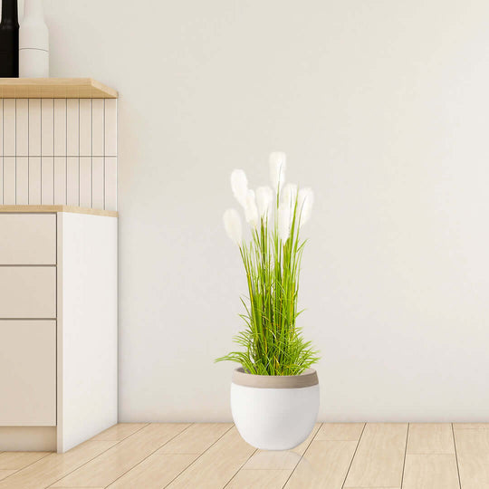 Stylish affordable homewares potted plant in white pot for modern spaces, adding quality and value to home decor.