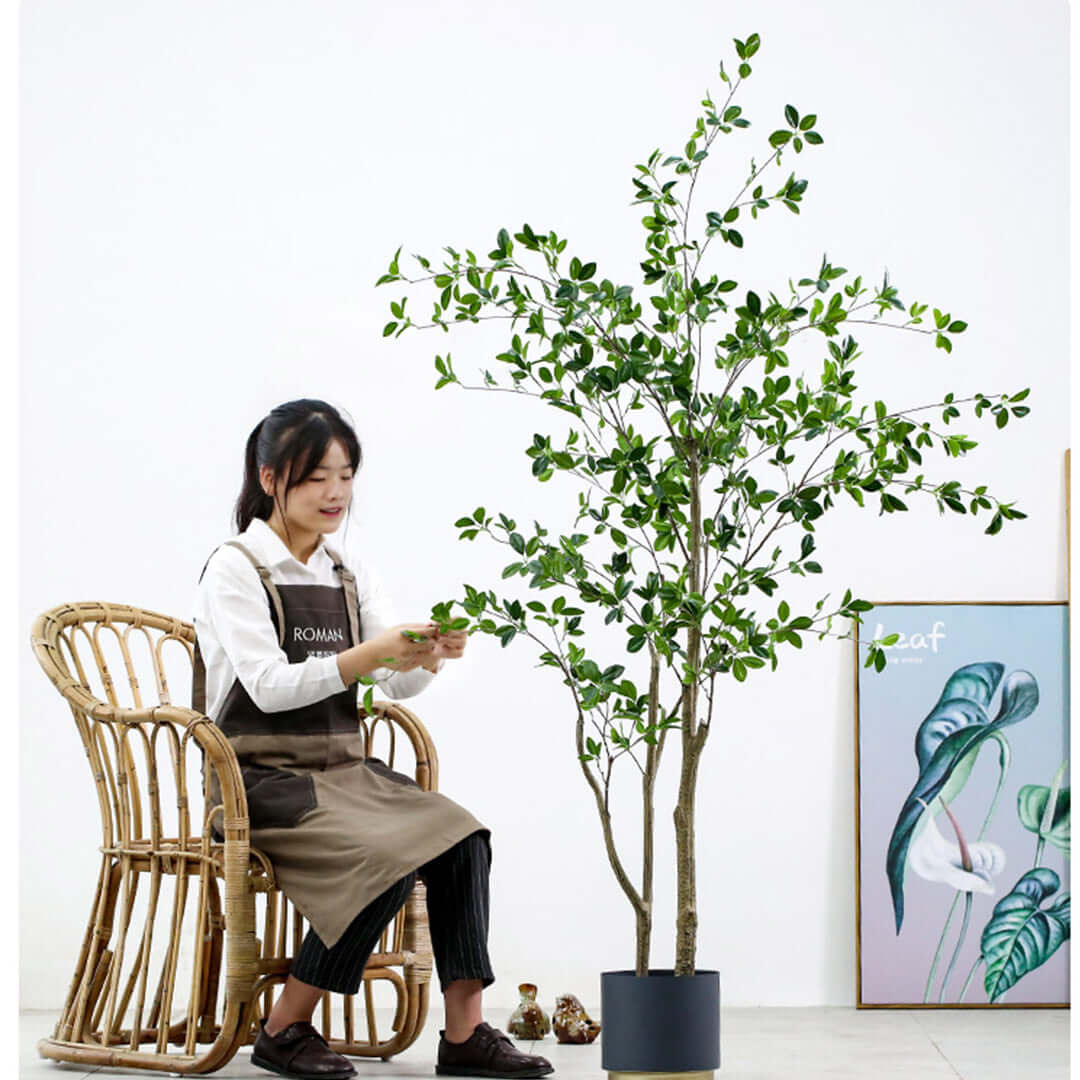 Woman arranging a leafy potted tree while seated in a wicker chair in a modern, minimalist home setting.